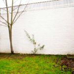 Jardin de l'appartement F1 à Liege